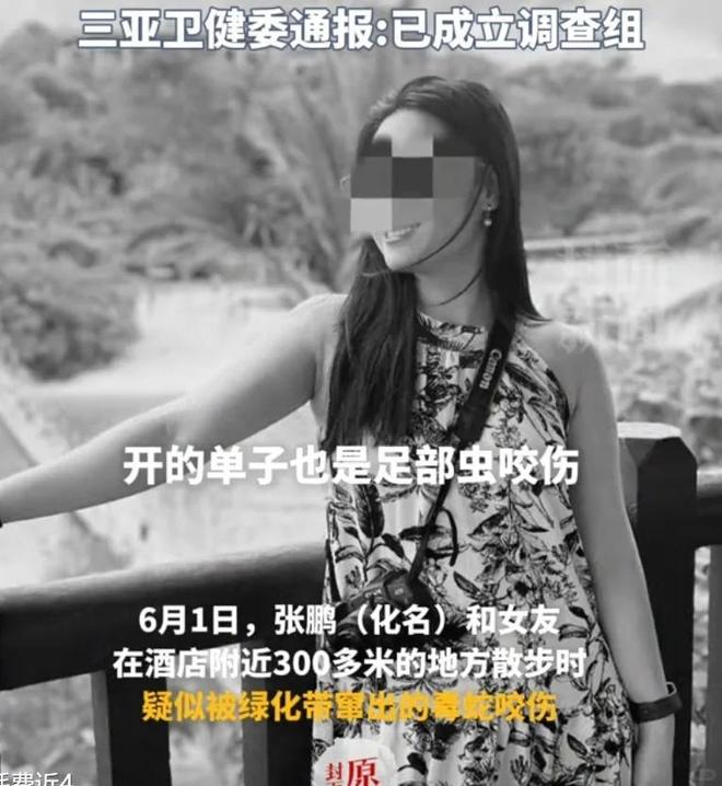 咬身亡好友道出更多细节救助博主涨粉百万PG麻将胡了试玩27岁女孩三亚被毒蛇