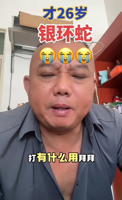 咬身亡好友道出更多细节救助博主涨粉百万PG麻将胡了试玩27岁女孩三亚被毒蛇(图3)