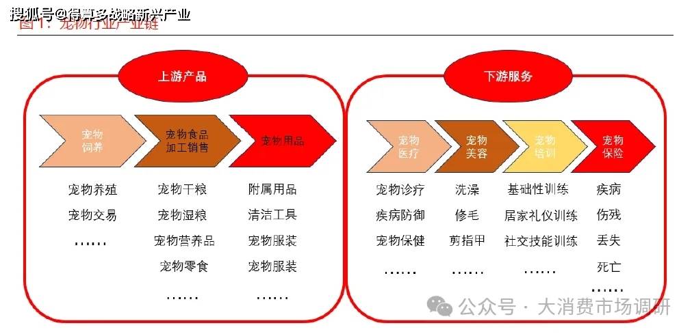 宠物食品市场发展现状与驱动因素分析（15