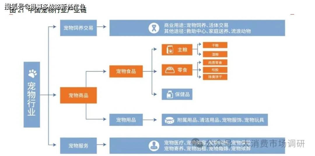 容国产崛起（13页报告）麻将胡了宠物食品