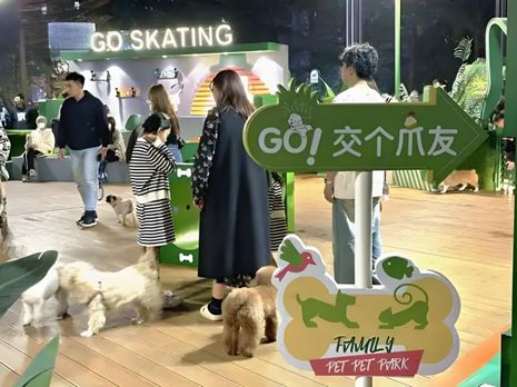 特鲜生丨宠物坐高铁侯毅下厨房麻将胡了试玩网站免费实探派