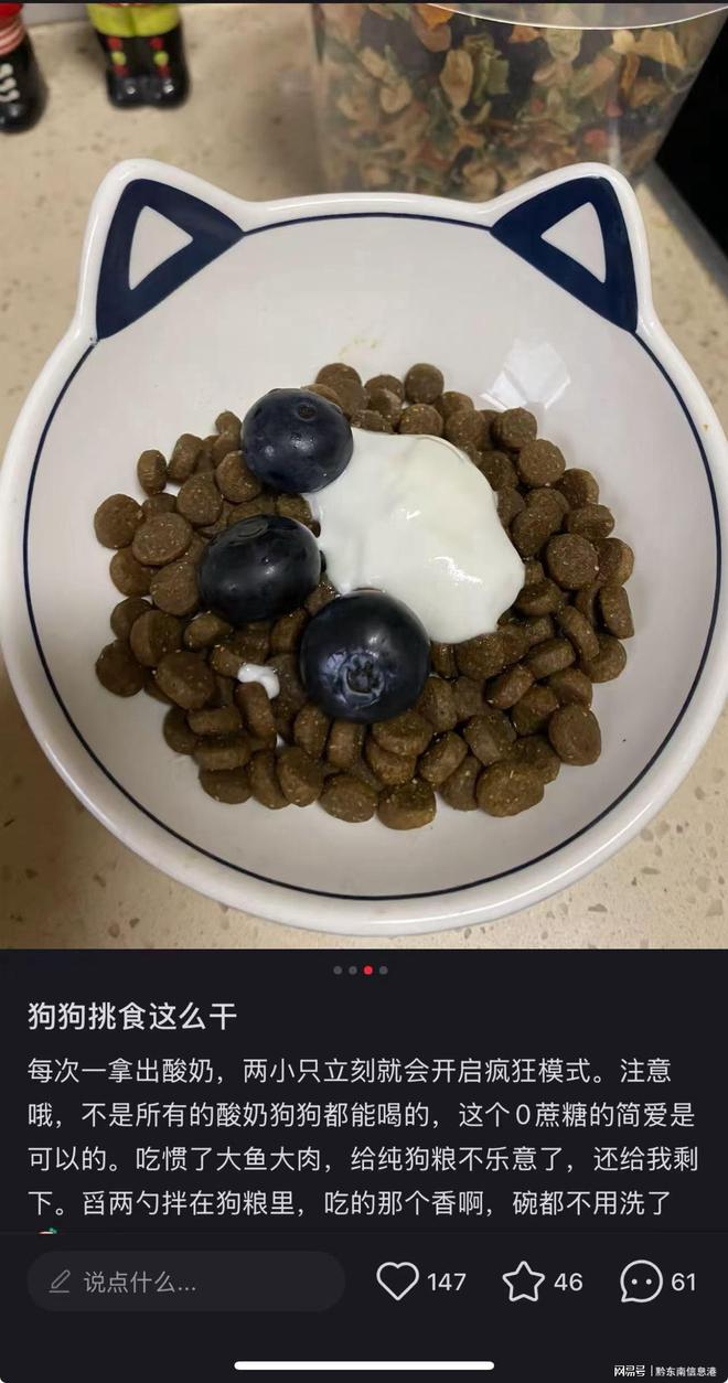 方”撬动萌宠经济与母婴信任双赛道麻将胡了试玩简爱酸奶以“纯净配(图3)