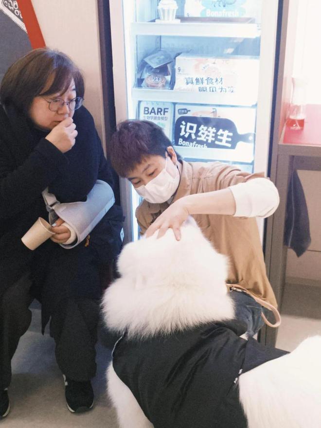 pia：基于宠物人们自然生长出社群麻将胡了2模拟器试玩对话Wagto(图2)