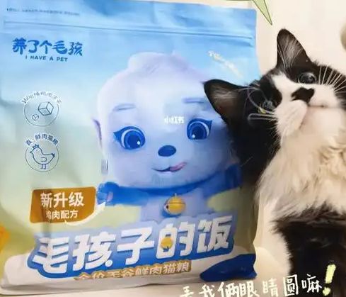 ！三只松鼠靠什么重返宠物食品赛道麻将胡了零食巨头盯上毛孩子口
