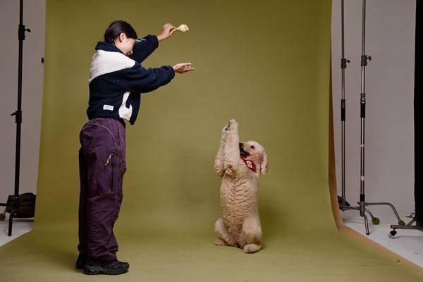 动物“逐梦演艺圈”PG麻将胡了他们带